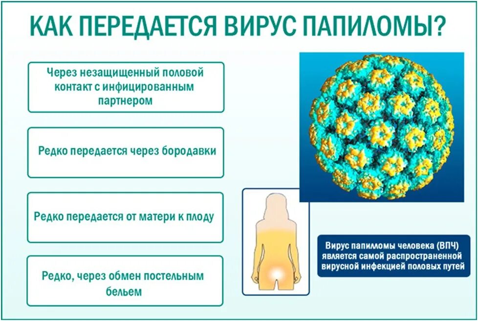 Папиломы вирус передается от человека к человеку. Путь передачи папилломавирусной инфекции. Способы заражения вирус ВПЧ. Вирус папилломы пути передачи. Папилломавирус человека пути передачи.