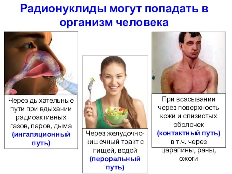 Пути поступления радионуклидов. Пути поступления радионуклидов в организм. пути поступления радиоизотопов в организм. радионуклиды попадают в организм человека через. попадание ядовитых веществ в организме.