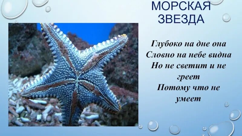 Море из слов. Море из слов. Слова к слову море. Море слов звезда. Слова в игре море слов.