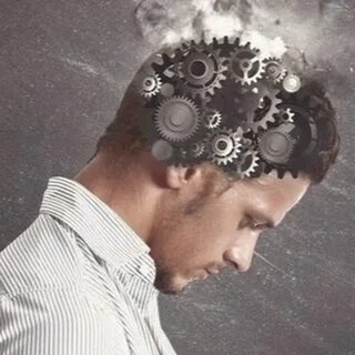 Жизнь кипит