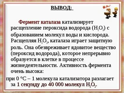 Все живые организмы содержат каталазу