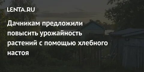 Повышает урожайность растений