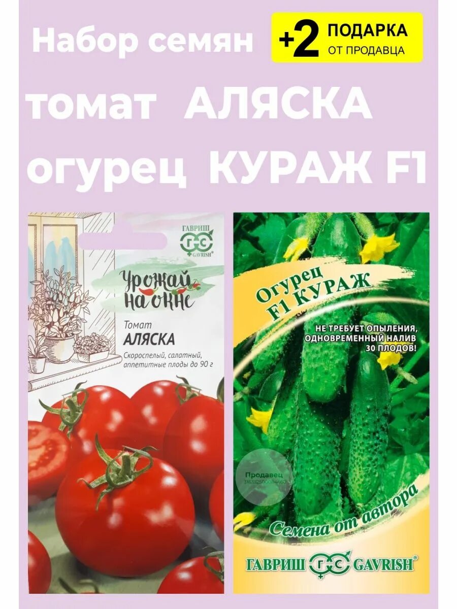 Томат аляска описание. Семена томат Аляска. Томат Аляска урожай на окне Гавриш. Томат Аляска СЕДЕК. Семена подоконных помидор Аляска.