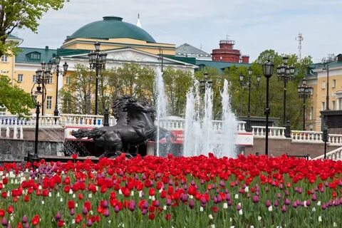 Москва в сердце экскурсии
