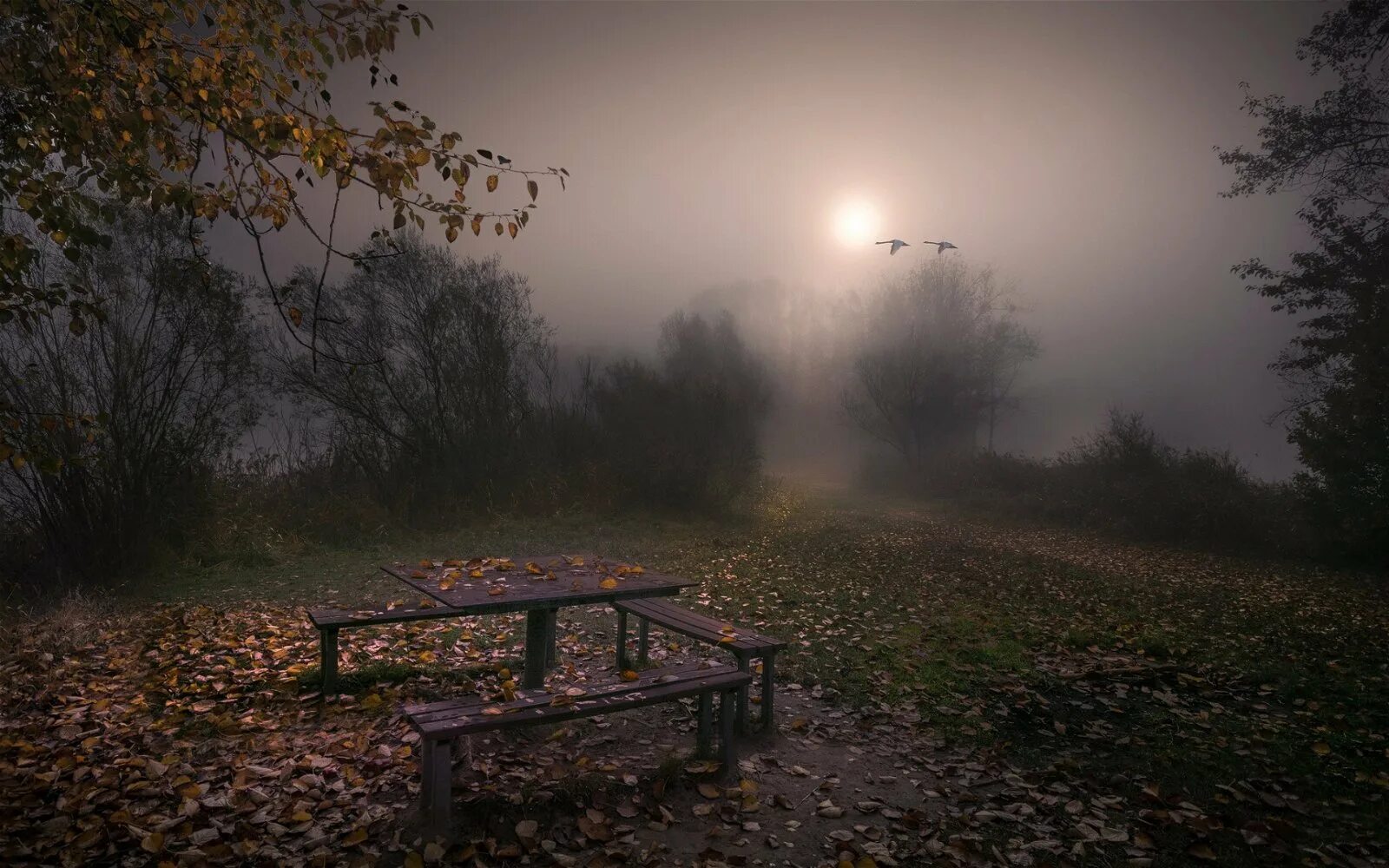 Тишина ли ночная. Осенняя ночь. Унылый пейзаж. Осенний вечер. Хмурая осень.