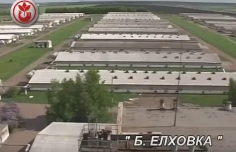 Сайт октябрьской птицефабрики саранск