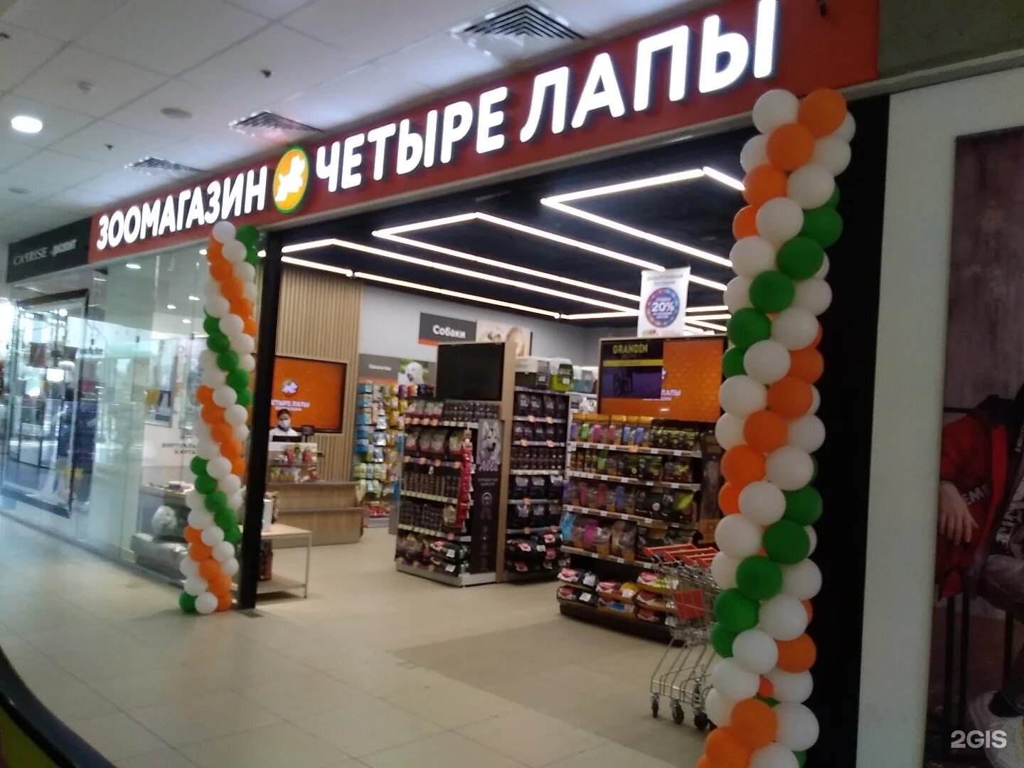 четыре лапы долгопрудный. зоомагазин четыре лапы краснодар. 4 лапы в долгопрудном на пацаева. зоомагазин 4 лапы интернет магазин. магазин 4 лапы орехово зуево.