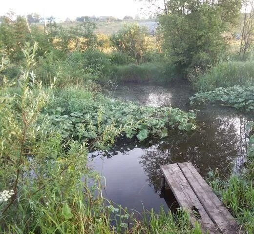Уинское пермский край. Деревня губаны пермский край. Село етыш пермский край. Деревня чернушка пермский край. Чернушка уинское.