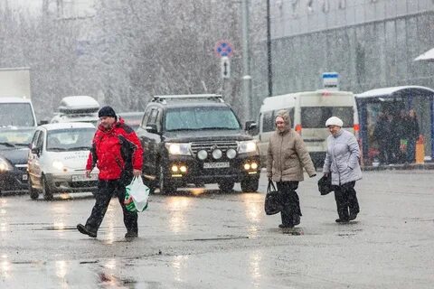 Сорок происходить
