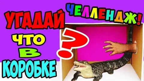 Челлендж угадай