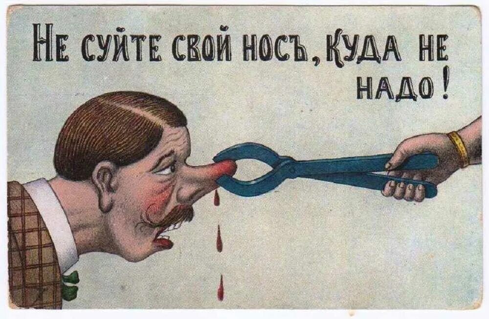 Носи умы
