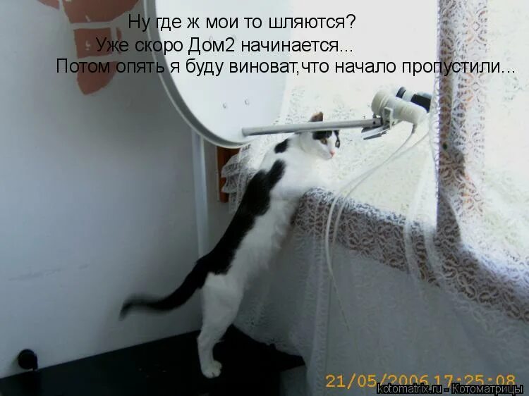 в гостях хорошо а дома лучше. мы станем лучше сансара. кот в поезде. скорей из дома выходи. скорей из дома выходи.