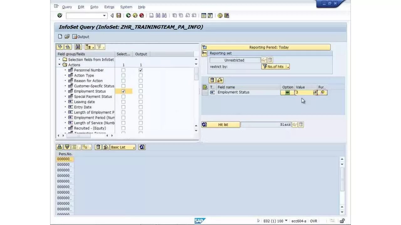 Using sap. Sap hr. sap транзакция query. sap hr программа. программа sap hr кадры самоучитель.