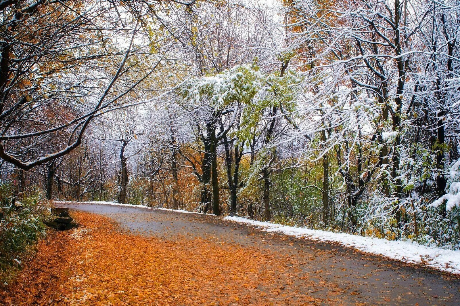 Поздняя осень. Поздней осенью. Ноябрь природа. Осень ноябрь.