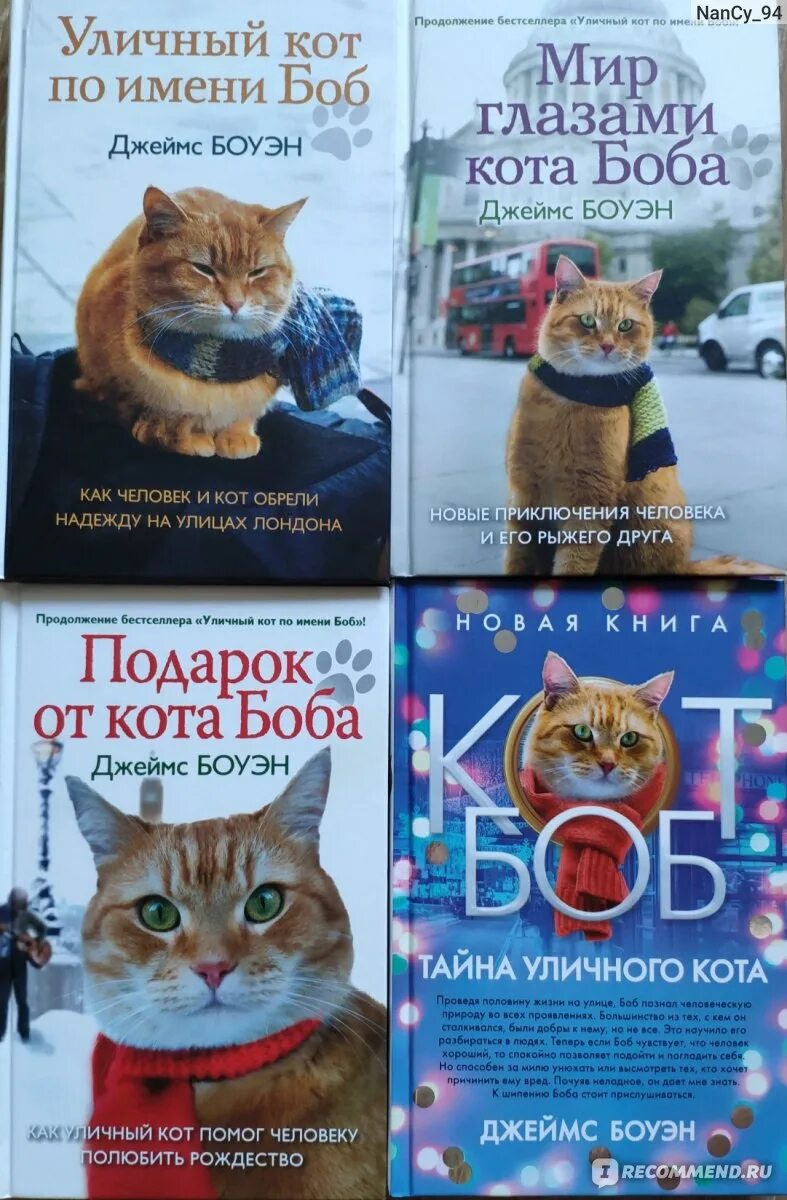 Книга про боба. Уличный кот по имени Боб книга. Кот по кличке Боб книга. Уличный кот по кличке Боб книга. Книга про рыжего кота Боба.