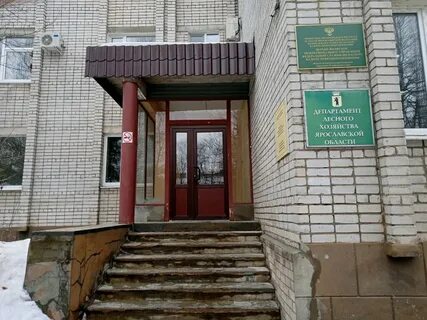 Департамент хозяйства ярославль