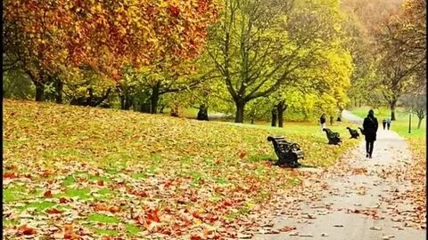 Листья осени над городом кружатся песня