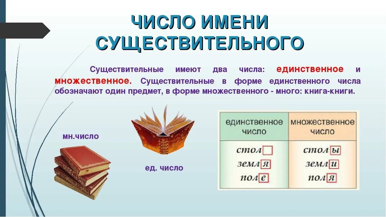 Укажи имена существительного в слове правильно. Как определить число имен существительных. Правила определения числа имен существительных. Как определить число имен существительных 4 класс. Как определить числосуществитель.