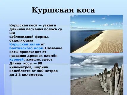 Приложение куршская коса