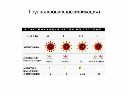 Антитела плазмы