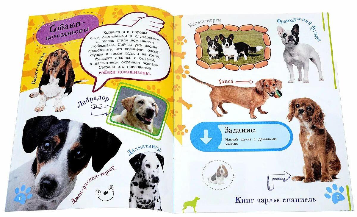 Книга как воспитать щенка + наклейки. Как правильно воспитать собаку. Как правильно воспитать собаку. Книги о воспитании собак. Как воспитать щенка девочку.