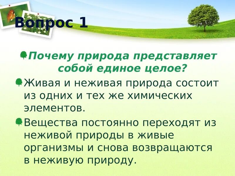 Природное сообщество вывод. Природное сообщество заключение. Естественные природные сообщества 6 класс. Природное сообщество класс 5 класс.