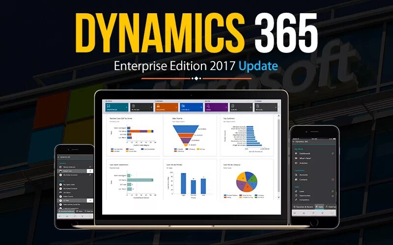 Software dynamics. Software dynamics