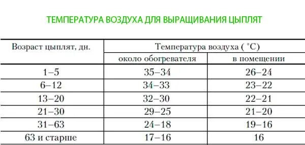 При какой температуре можно цыплят. Таблица содержания бройлеров в брудере. Температурный режим содержания цыплят бройлеров таблица. Температурный режим для цыплят бройлеров таблица. График температурного режима цыплята бройлеры.