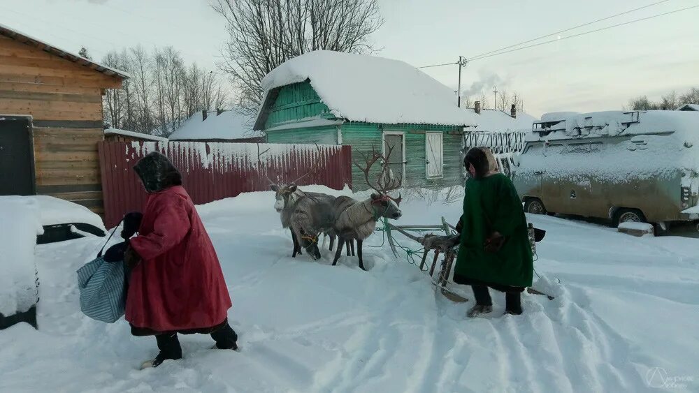 Архангельск Пинега Мезень. Мезень поселок. Мезень (город). Оленеводы Пинега Мезень. Подслушано мезень в контакте барахолка