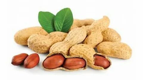 Pea nut