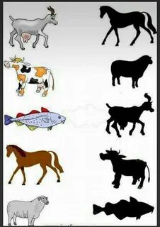 Запорожьеде секс үшін танысу