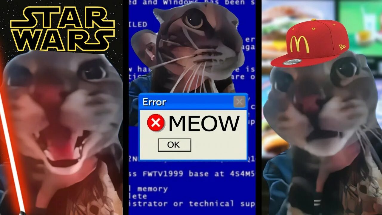 Кот Meow meme. Мем Cat nonsense. Maxwell Cat meme на аву. G13 Мем кошка. Meow camera