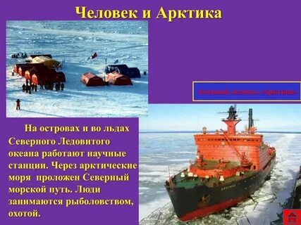 Хозяйственное использование северного ледовитого океана