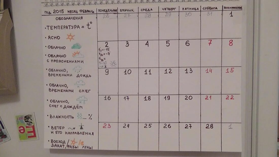 9 месяцев в днях без выходных