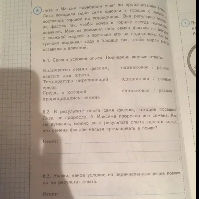 П. Укажи какие из перечисленных условий не влияют на результат опыта. Сравни условия опыта. Сравни условия опыта. Лиза и максим проводили опыт по проращиванию семян.