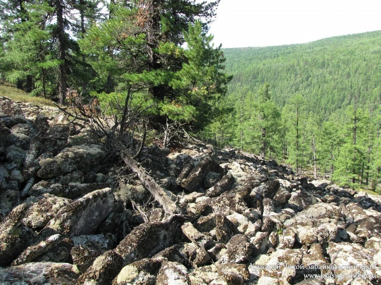 Погода чикой забайкальский край красный на неделю. Чикой Забайкальский край.