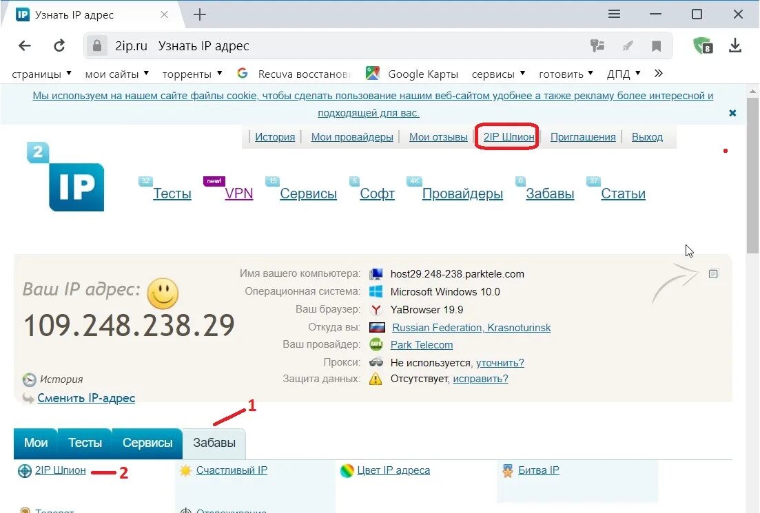 Ip браузера. 2ip. Узнать адрес. 2ip Украина. Скрин айпи адреса.