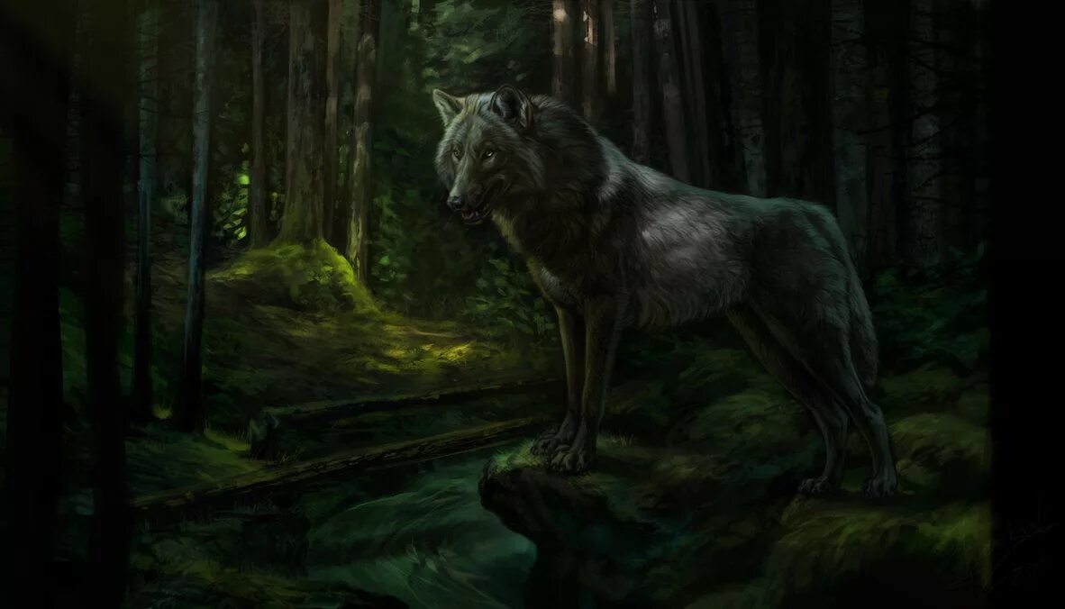 Заколдованный волк. Мистические волки. Волк в лесу. Волк фэнтези. Волк в дремучем лесу.