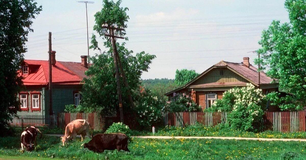 Советская деревня. Деревенская улица. Современная деревня. Деревни России. Город и деревня в истории