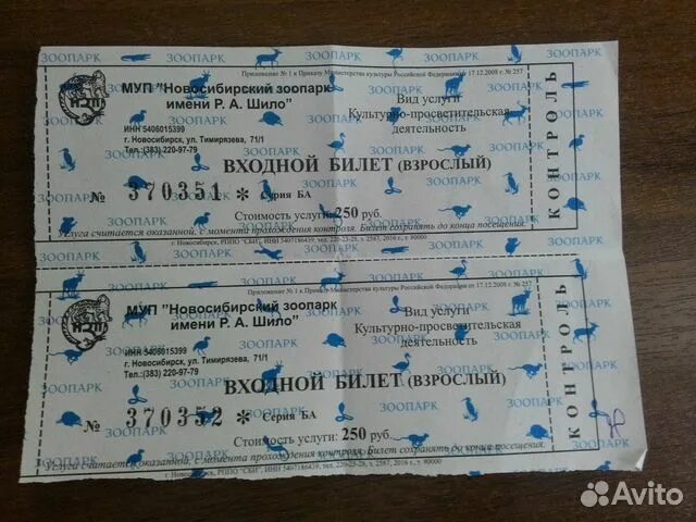 Билет в зоопарк. Взрослый билет в Новосибирский зоопарк. Билеты в зоопарк для детей. Билет в зоопарк шаблон.