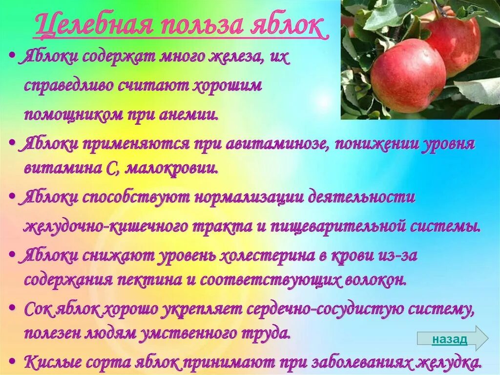 Яблоневых пароним. Яблоко информация. Полезные факты о яблоках. Интересные факты о яблоках. Доклад о яблоке.