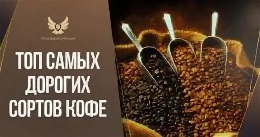 Сорт самого дорогого кофе. Сорт самого дорогого кофе