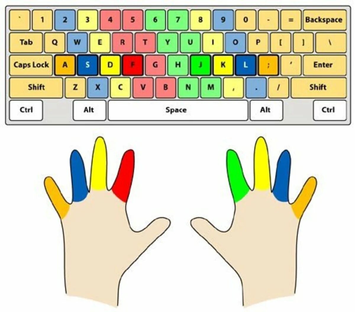 Расположение пальцев на клавиатуре. Слепая печать. 10 Пальцевый метод печати. Слепой метод печати. Картинка клавиатуры для слепой печати
