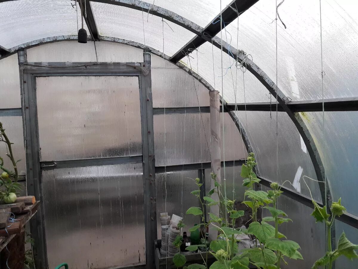 Теплица из поликарбоната капелька. Теплица поликарбонат 3х6 нижний. Теплицы из поликарбоната сорта. Теплицы из поликарбоната сорта. 0 240х300см.