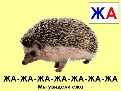 Ежик звуки