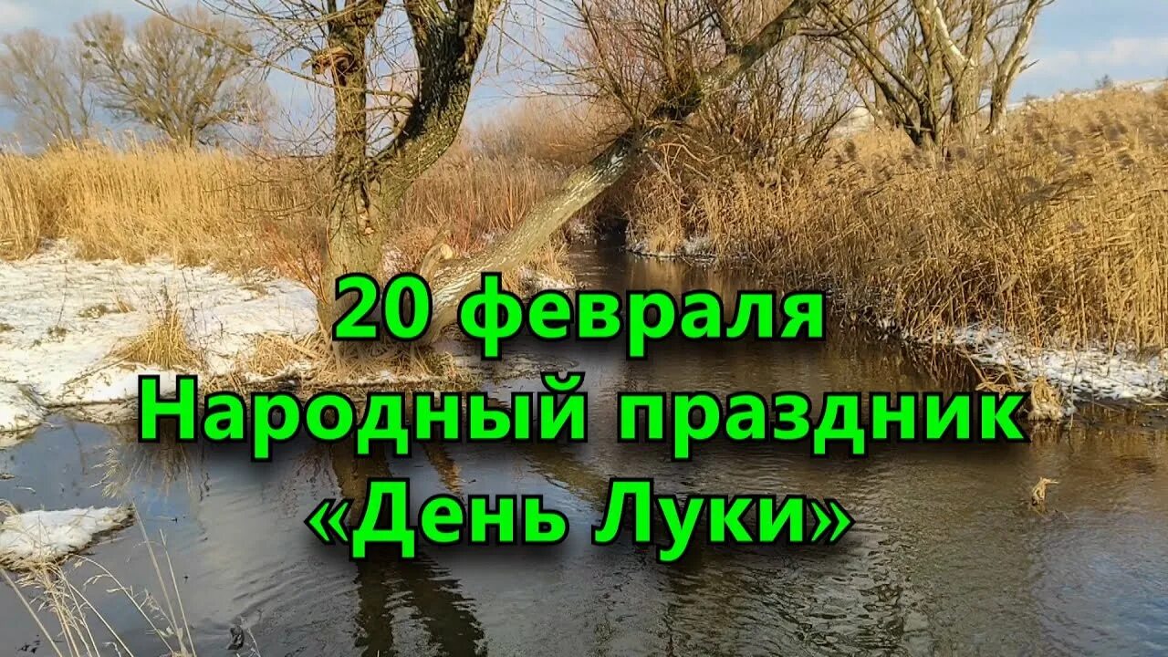 20 февраля народный календарь. 20 февраля народный календарь. Народный праздник 20 февраля. 20 февраля народный календарь. Православный календарь.
