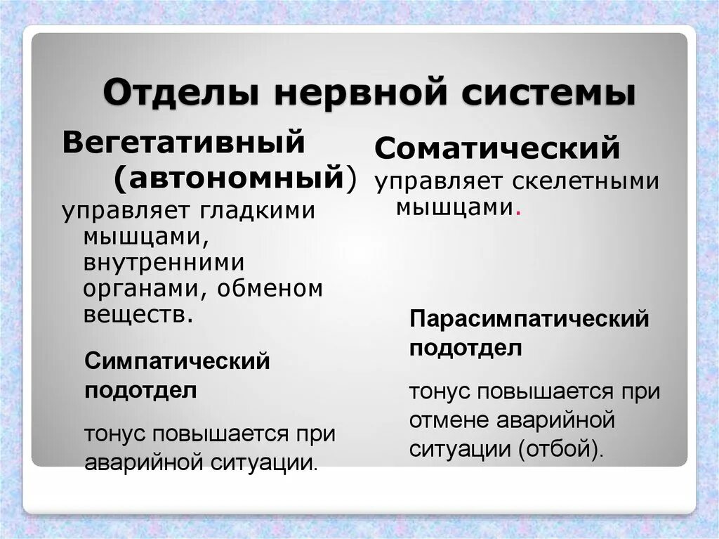 Подразделения нервной системы. Отделы нервной системы. Отделелы нервной системы. Назовите отделы нервной системы. Подразделение нервной системы.