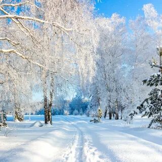 Winter is russian