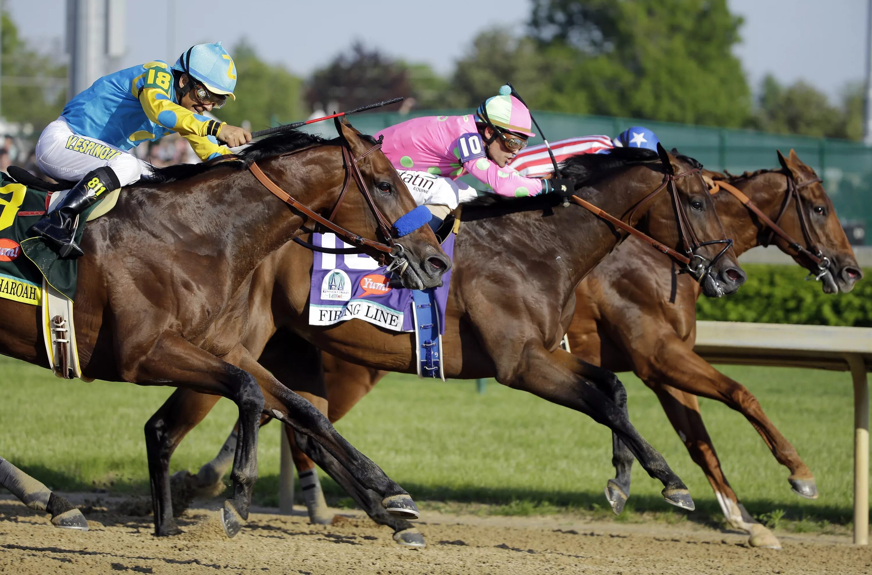 Ипподром чад. Потеря веса. Скачки веса. Современные скачки. Лишний вес весы.