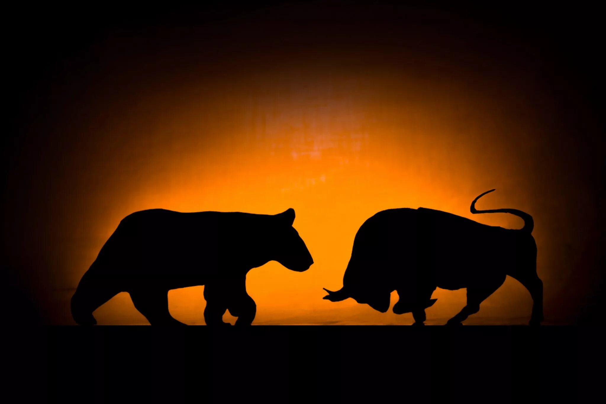 Биржевые быки и медведи. Трейдинг быки и медведи. Трейдинг bulls. Bear bull. Бык против медведя.